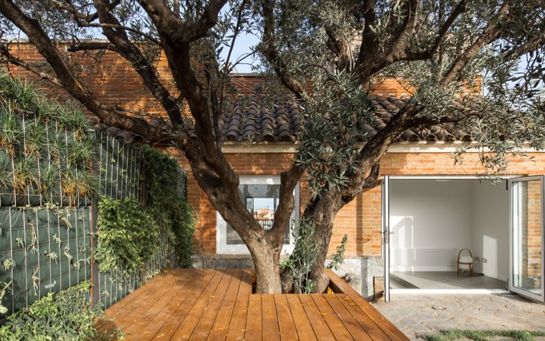 estudis arquitectura