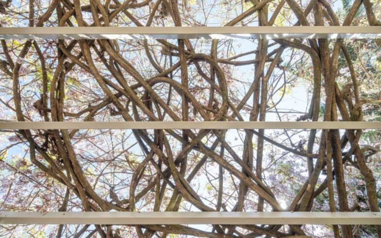 arquitectura sostenible